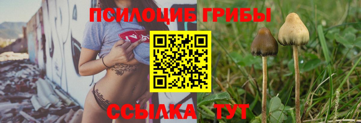 ГАШИШ Асино