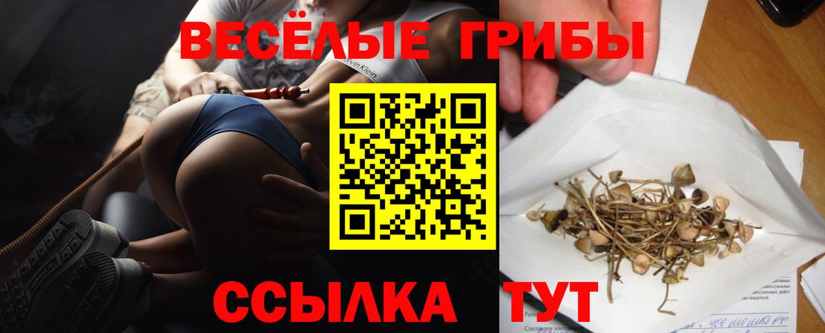 Галлюциногенные грибы Psilocybine cubensis  Вход с VPN  Асино 